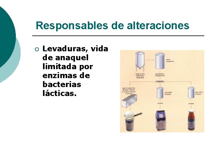 Responsables de alteraciones ¡ Levaduras, vida de anaquel limitada por enzimas de bacterias lácticas.