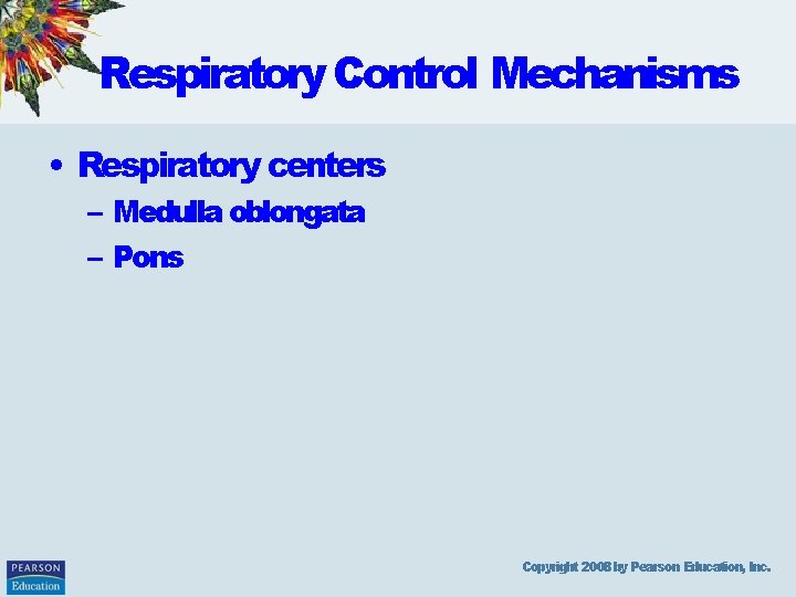 Respiratory Control Mechanisms • Respiratory centers – Medulla oblongata – Pons Copyright 2008 by