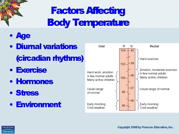 Factors Affecting Body Temperature • Age • Diurnal variations (circadian rhythms) • Exercise •