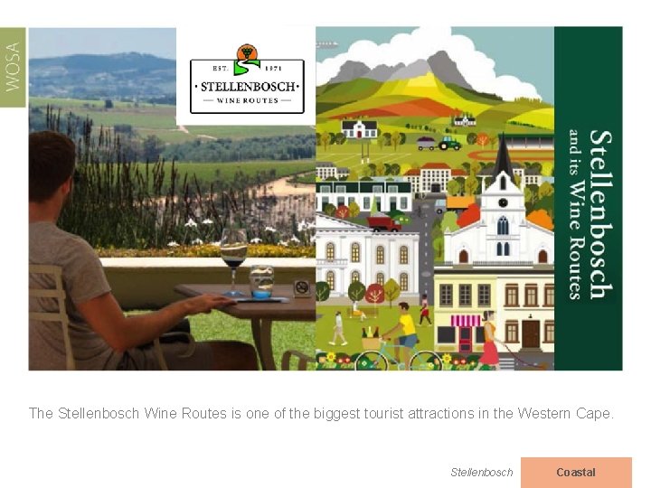 The Stellenbosch Wine Routes is one of the biggest tourist attractions in the Western
