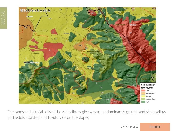 Stellenbosch Coastal 