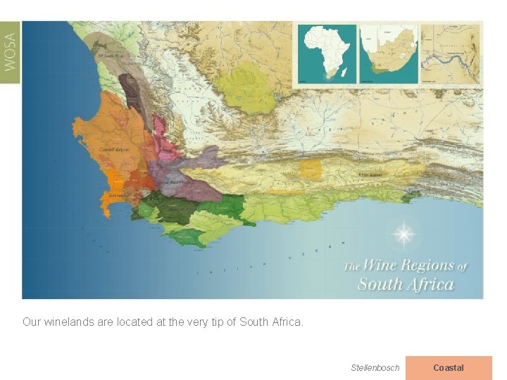 Our winelands are located at the very tip of South Africa. Stellenbosch Coastal 