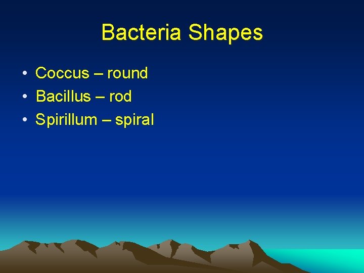 Bacteria Shapes • Coccus – round • Bacillus – rod • Spirillum – spiral