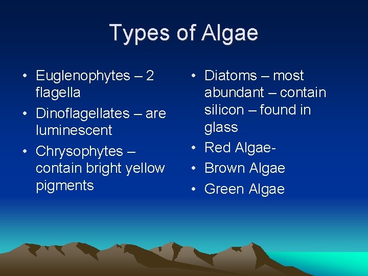 Types of Algae • Euglenophytes – 2 flagella • Dinoflagellates – are luminescent •