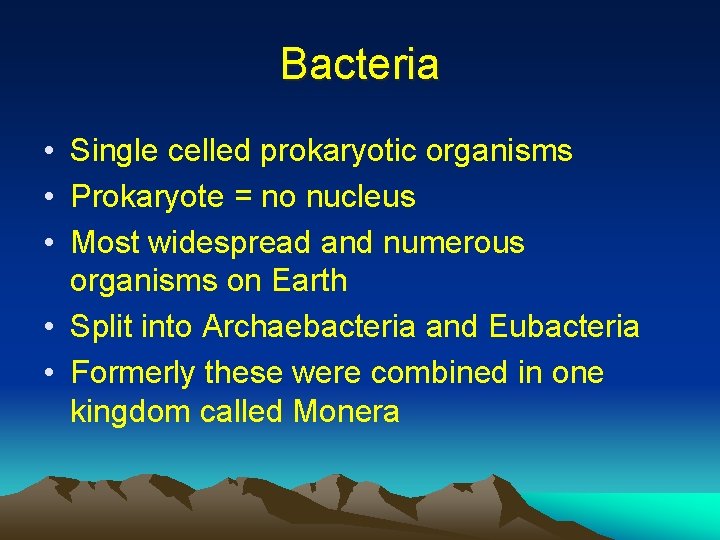 Bacteria • Single celled prokaryotic organisms • Prokaryote = no nucleus • Most widespread