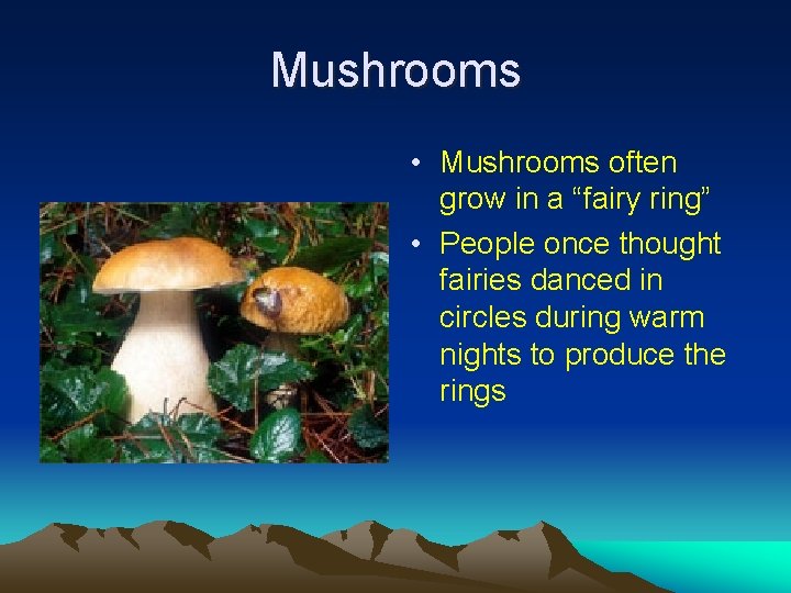 Mushrooms • Mushrooms often grow in a “fairy ring” • People once thought fairies