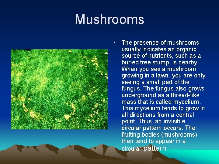 Mushrooms • The presence of mushrooms usually indicates an organic source of nutrients, such