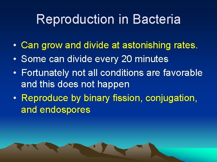 Reproduction in Bacteria • Can grow and divide at astonishing rates. • Some can