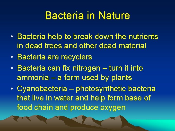 Bacteria in Nature • Bacteria help to break down the nutrients in dead trees