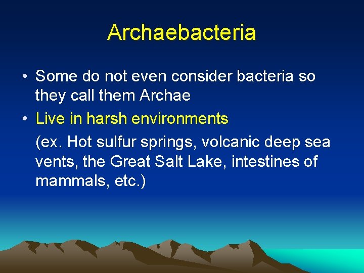 Archaebacteria • Some do not even consider bacteria so they call them Archae •