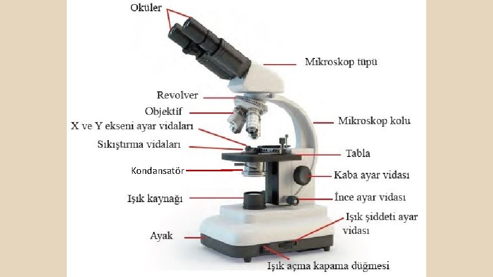 Kondansatör 