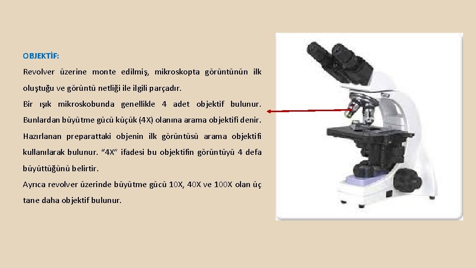 OBJEKTİF: Revolver üzerine monte edilmiş, mikroskopta görüntünün ilk oluştuğu ve görüntü netliği ile ilgili