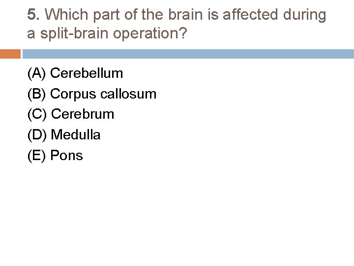 5. Which part of the brain is affected during a split-brain operation? (A) Cerebellum