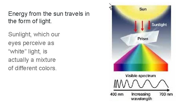 Energy from the sun travels in the form of light. Sunlight, which our eyes