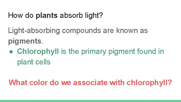 How do plants absorb light? Light-absorbing compounds are known as pigments. ● Chlorophyll is