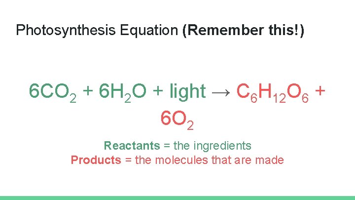 Photosynthesis Equation (Remember this!) 6 CO 2 + 6 H 2 O + light