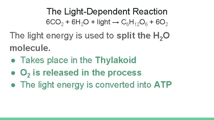 The Light-Dependent Reaction 6 CO 2 + 6 H 2 O + light →