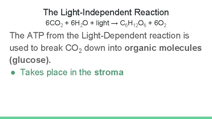 The Light-Independent Reaction 6 CO 2 + 6 H 2 O + light →