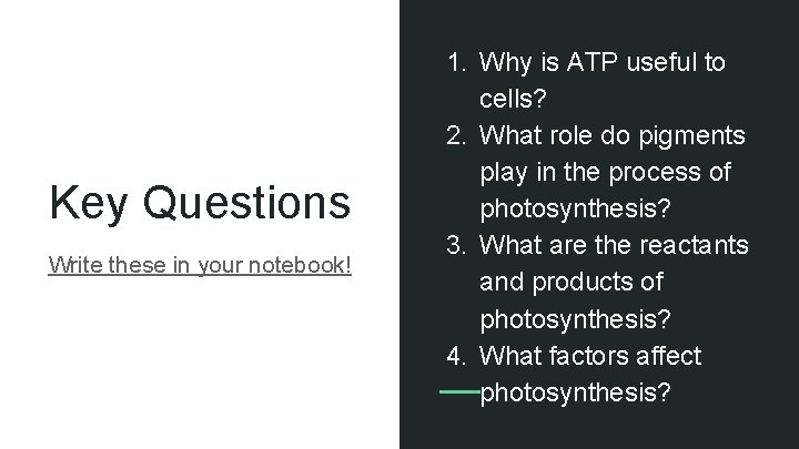 Key Questions Write these in your notebook! 1. Why is ATP useful to cells?