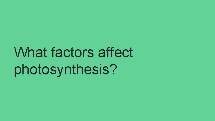What factors affect photosynthesis? 