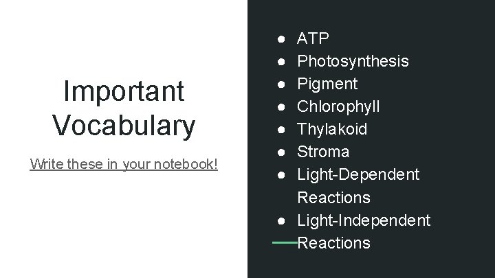 Important Vocabulary Write these in your notebook! ● ● ● ● ATP Photosynthesis Pigment