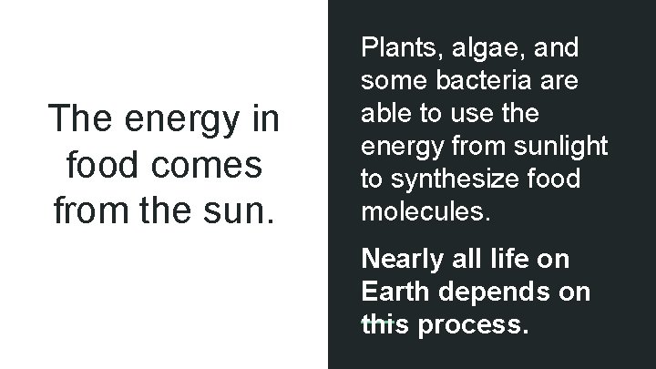 The energy in food comes from the sun. Plants, algae, and some bacteria are