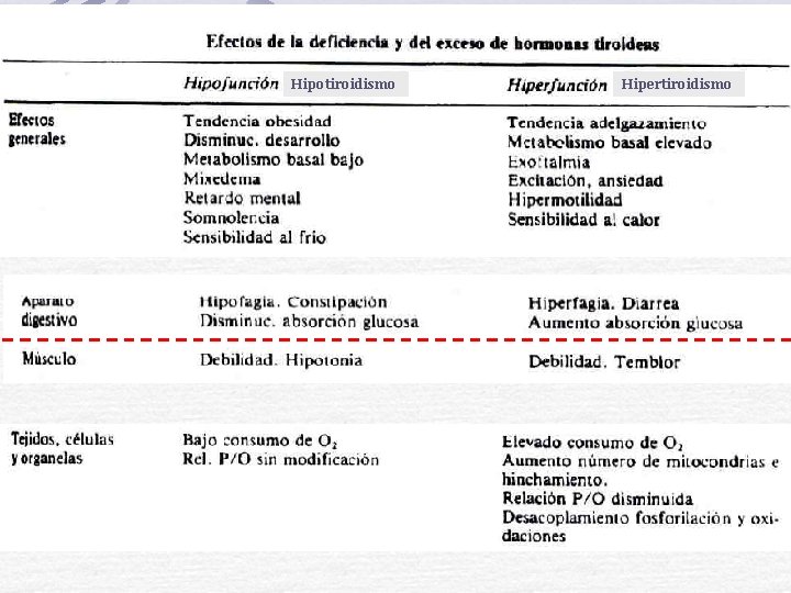 Hipotiroidismo Hipertiroidismo 