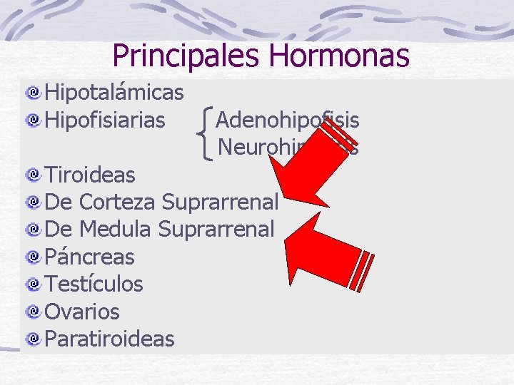 Principales Hormonas Hipotalámicas Hipofisiarias Adenohipofisis Neurohipofisis Tiroideas De Corteza Suprarrenal De Medula Suprarrenal Páncreas