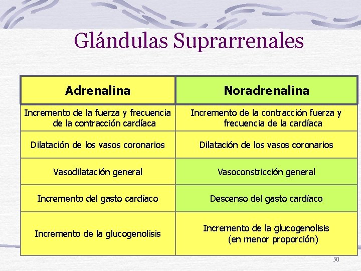 Glándulas Suprarrenales Adrenalina Noradrenalina Incremento de la fuerza y frecuencia de la contracción cardíaca