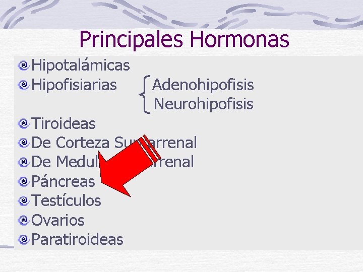 Principales Hormonas Hipotalámicas Hipofisiarias Adenohipofisis Neurohipofisis Tiroideas De Corteza Suprarrenal De Medula Suprarrenal Páncreas