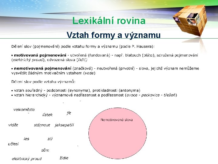 Lexikální rovina Vztah formy a významu 