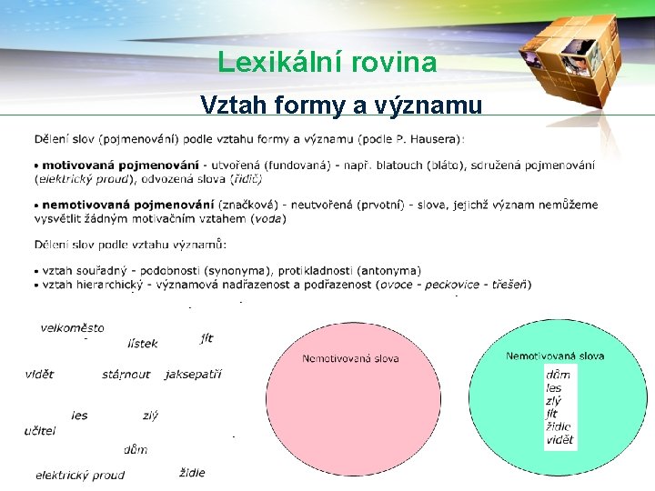 Lexikální rovina Vztah formy a významu 