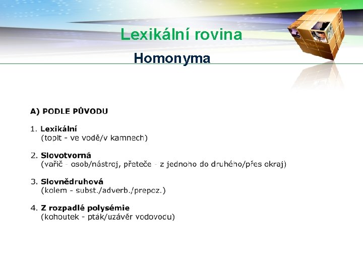 Lexikální rovina Homonyma 