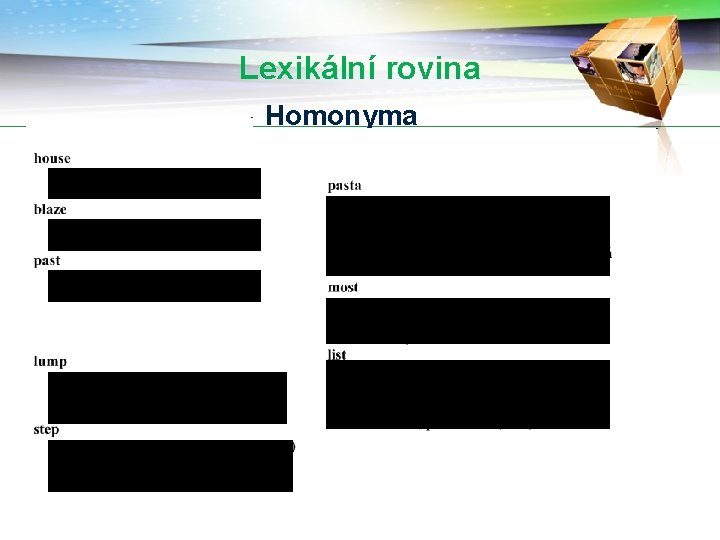 Lexikální rovina Homonyma 