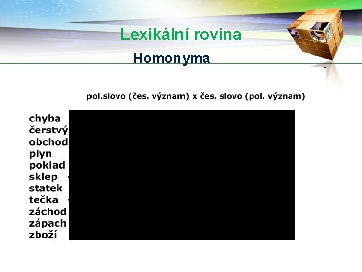 Lexikální rovina Homonyma 