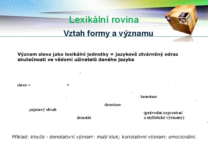 Lexikální rovina Vztah formy a významu 