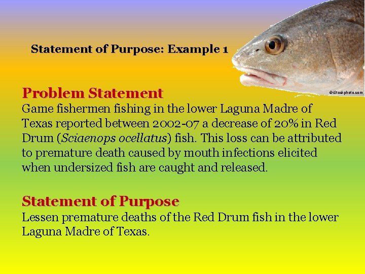 Statement of Purpose: Example 1 Problem Statement ©i. Stockphoto. com Game fishermen fishing in