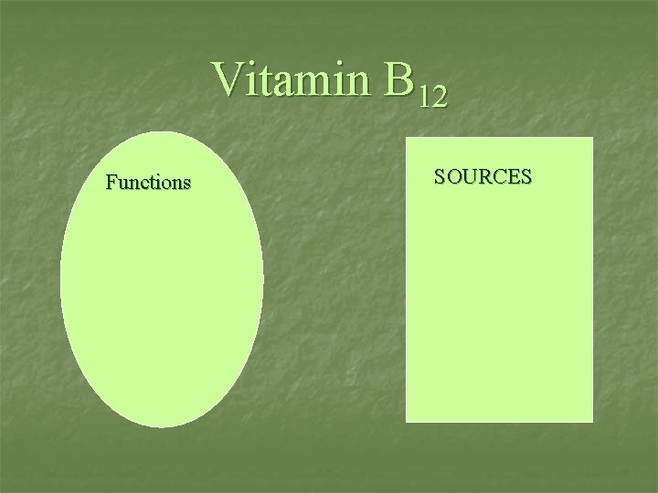 Vitamin B 12 Functions n SOURCES Sources 