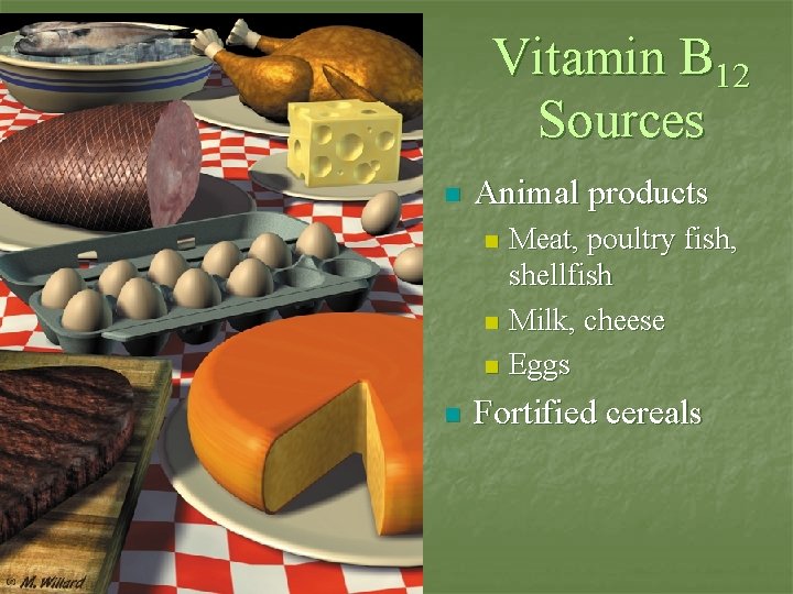 Vitamin B 12 Sources n Animal products Meat, poultry fish, shellfish n Milk, cheese