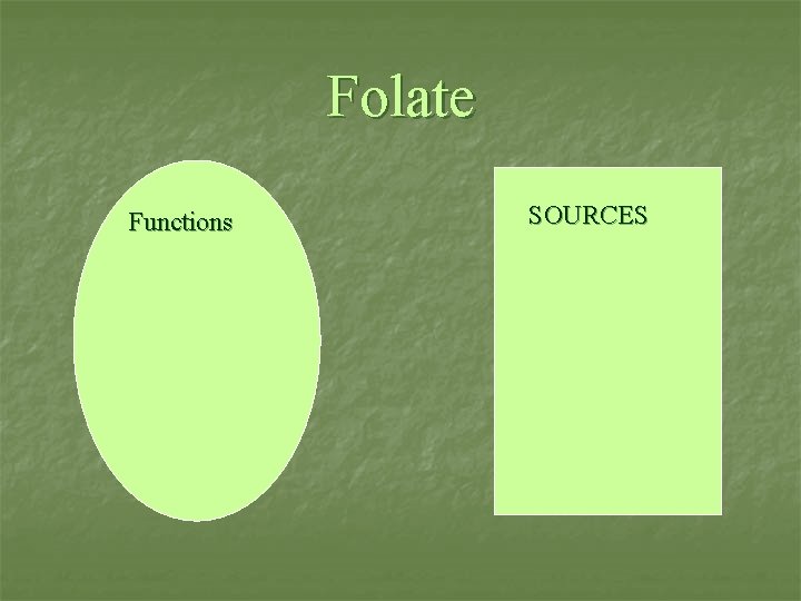 Folate Functions n SOURCES Sources 