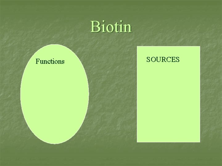 Biotin Functions n SOURCES Sources 