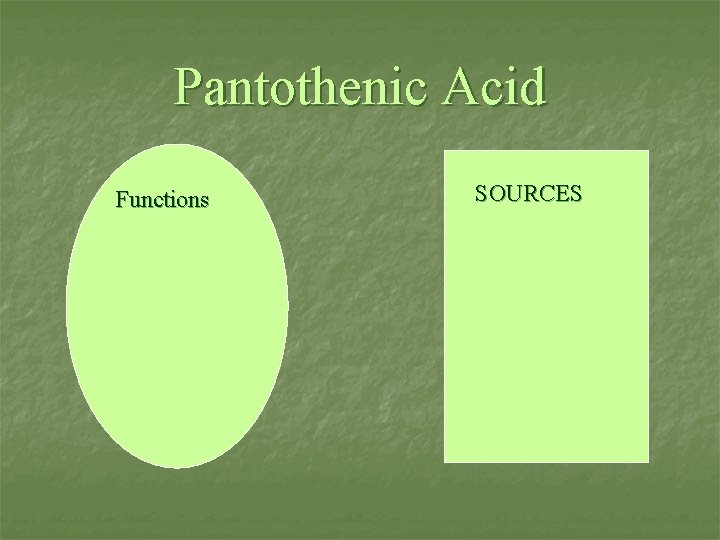 Pantothenic Acid Functions n SOURCES Sources 