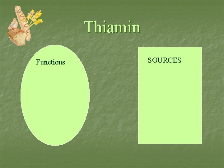 Thiamin Functions n SOURCES Sources 