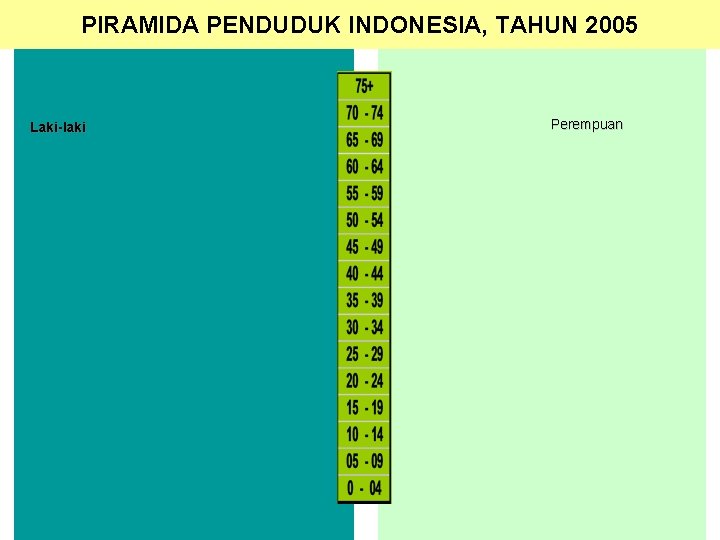 PIRAMIDA PENDUDUK INDONESIA, TAHUN 2005 Laki-laki Perempuan 30 