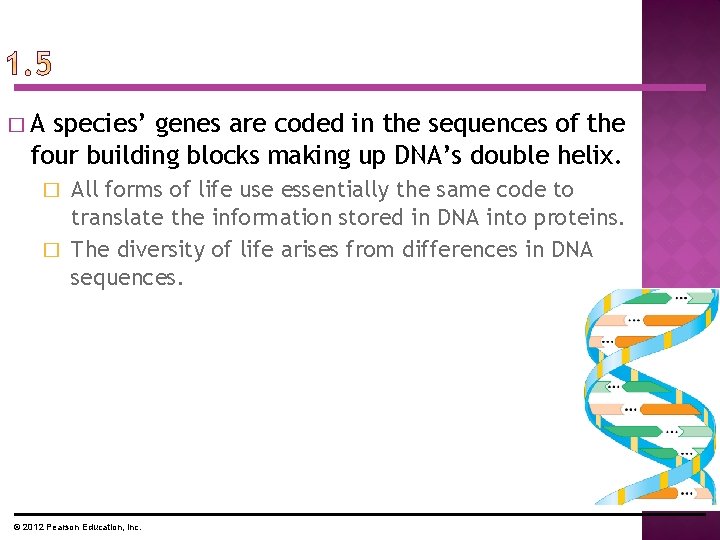 �A species’ genes are coded in the sequences of the four building blocks making �A species’ genes are coded in the sequences of the four building blocks making