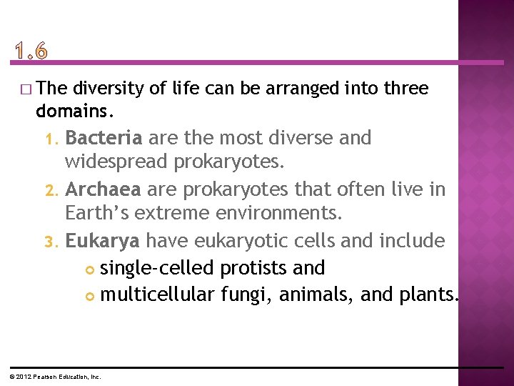 � The diversity of life can be arranged into three domains. Bacteria are the � The diversity of life can be arranged into three domains. Bacteria are the