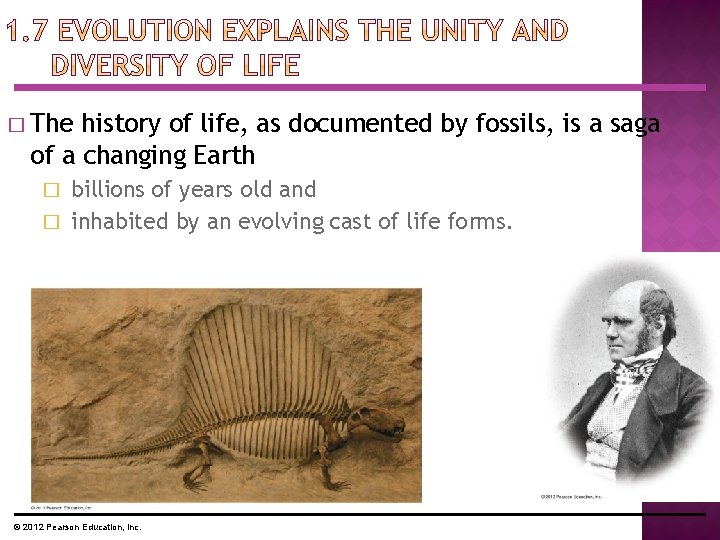 � The history of life, as documented by fossils, is a saga of a � The history of life, as documented by fossils, is a saga of a