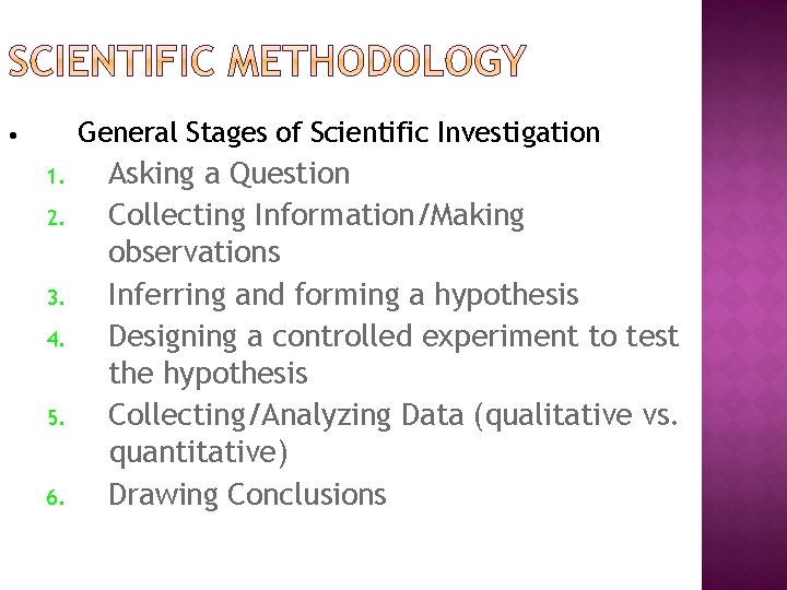 General Stages of Scientific Investigation • 1. 2. 3. 4. 5. 6. Asking a General Stages of Scientific Investigation • 1. 2. 3. 4. 5. 6. Asking a