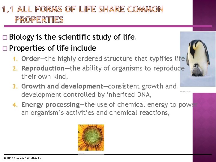 � Biology is the scientific study of life. � Properties of life include Order—the � Biology is the scientific study of life. � Properties of life include Order—the
