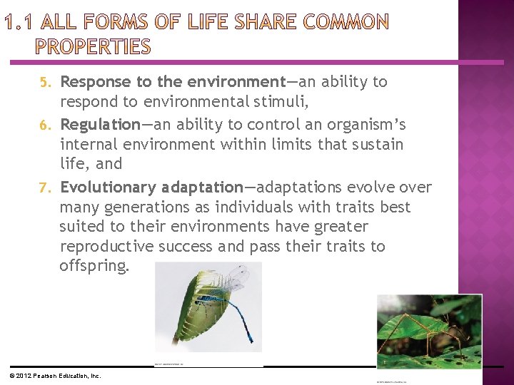 Response to the environment—an ability to respond to environmental stimuli, 6. Regulation—an ability to Response to the environment—an ability to respond to environmental stimuli, 6. Regulation—an ability to
